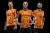 wolves kit.jpg