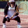 Monkey Tennis