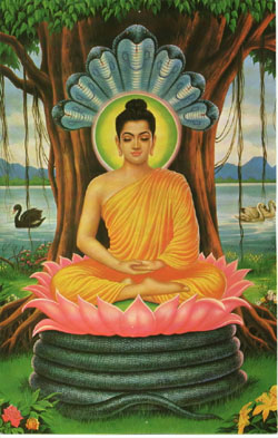 buddha04.jpg